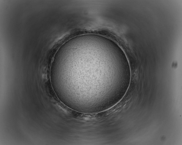 X0000101441205200807141258