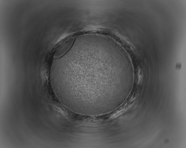 X0000101441206200807141258