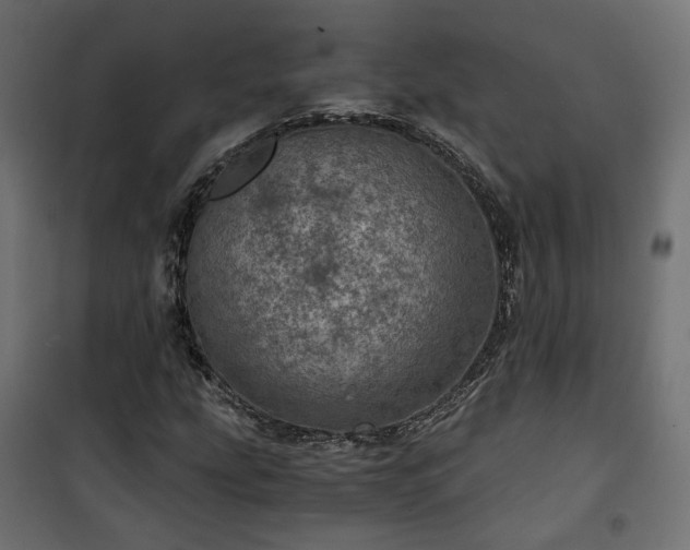 X0000101441207200807141258