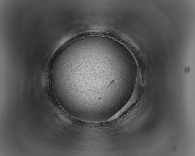 X0000101441208200807141258