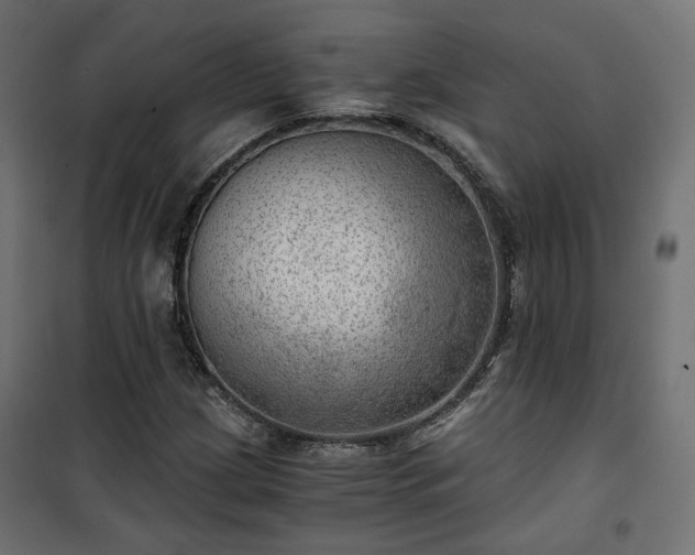 X0000101441209200807141258