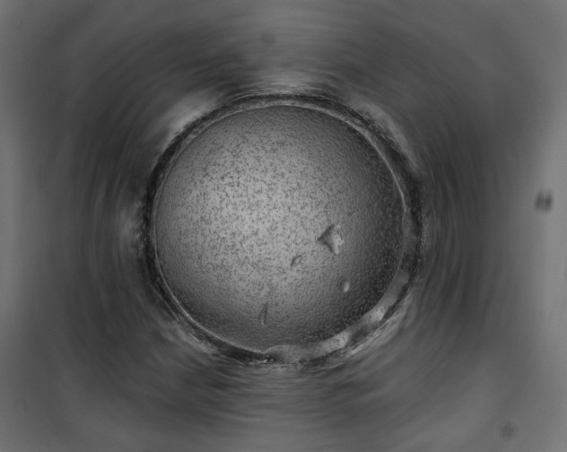 X0000101441210200807141258