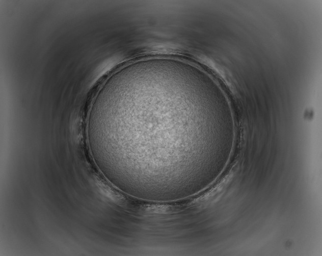 X0000101441211200807141258