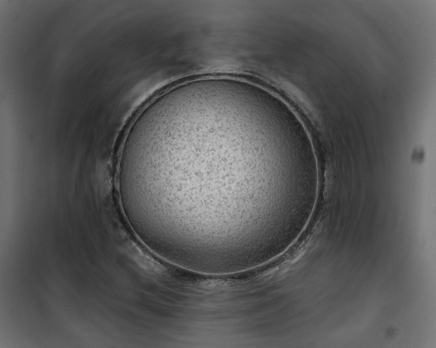 X0000101441212200807141258