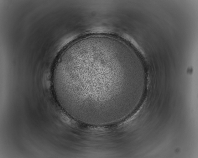 X0000101441213200807141258