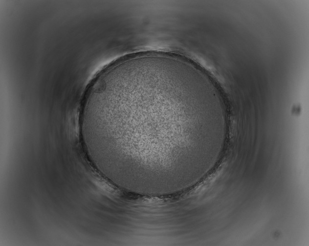 X0000101441214200807141258