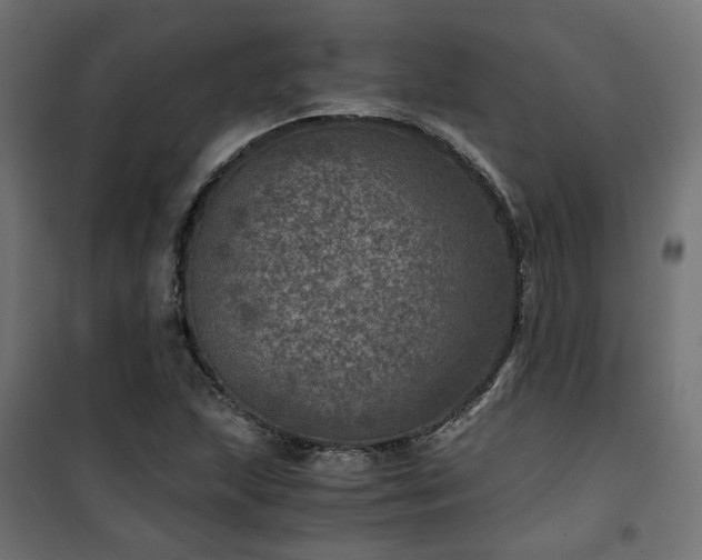 X0000101441215200807141258