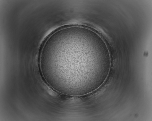 X0000101441216200807141258