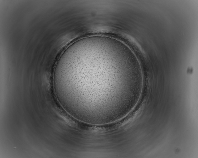 X0000101441217200807141258