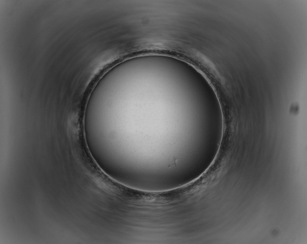 X0000101441218200807141258