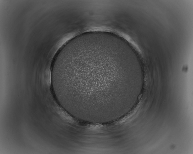 X0000101441221200807141258