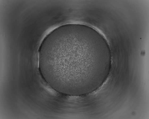 X0000101441223200807141258