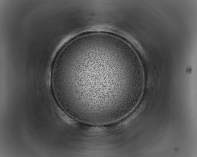 X0000101441224200807141258