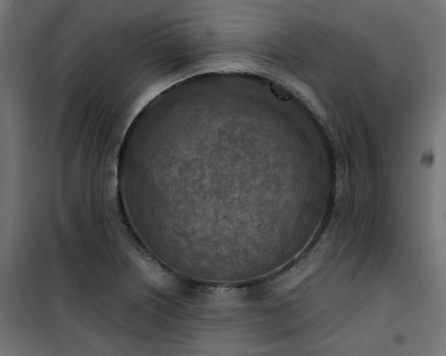 X0000101441226200807141258