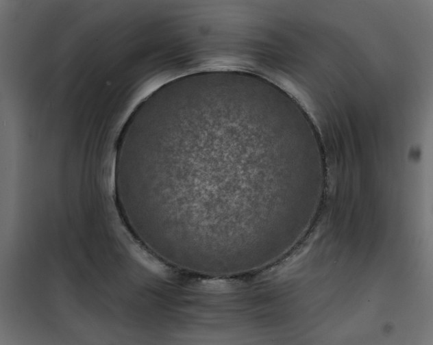 X0000101441227200807141258