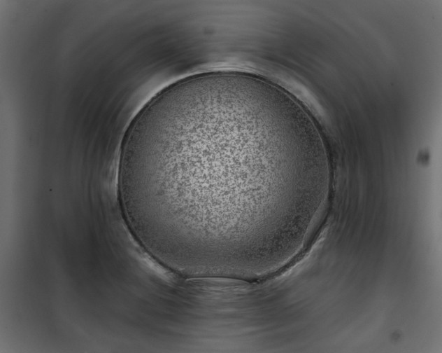 X0000101441228200807141258