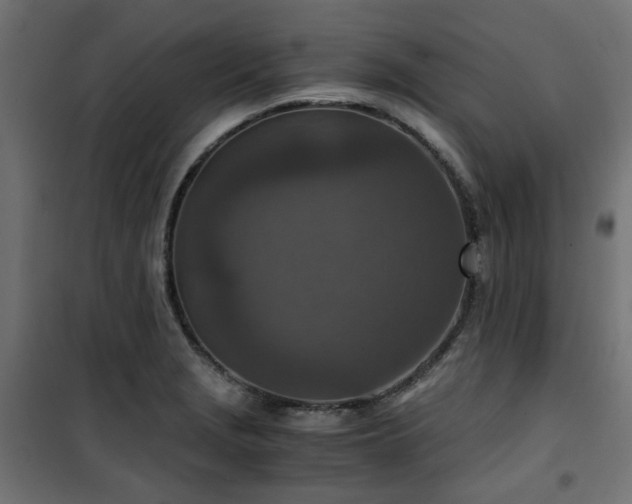 X0000101441229200807141258