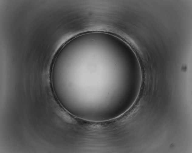 X0000101441230200807141258