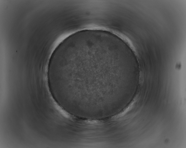 X0000101441231200807141258