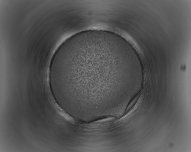 X0000101441232200807141258