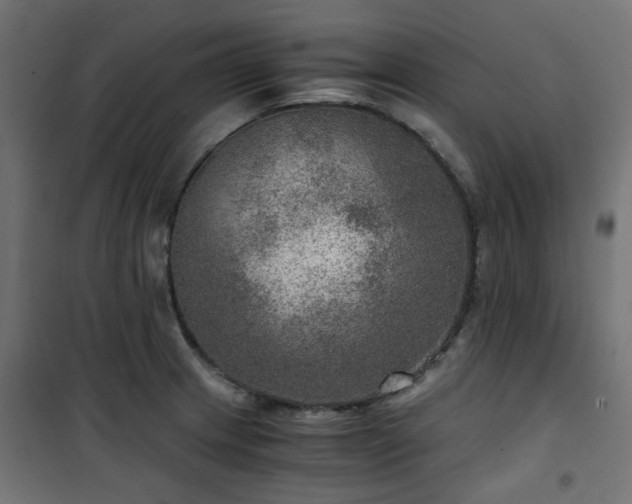 X0000101441233200807141258