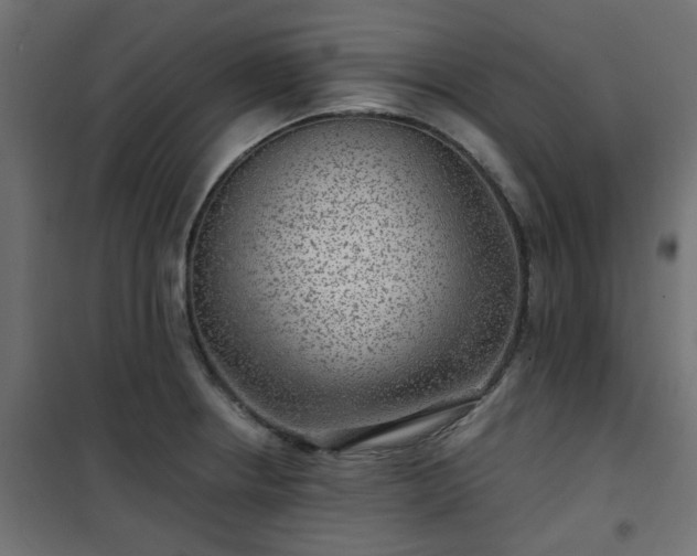 X0000101441234200807141258