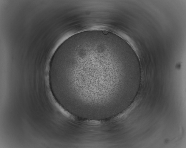 X0000101441235200807141258