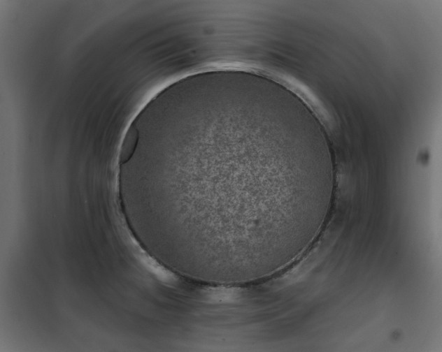 X0000101441236200807141258