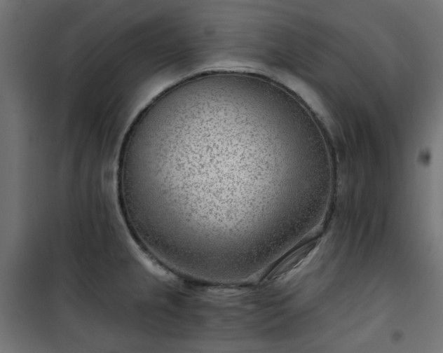 X0000101441237200807141258