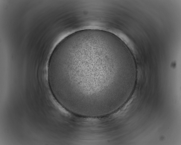 X0000101441238200807141258