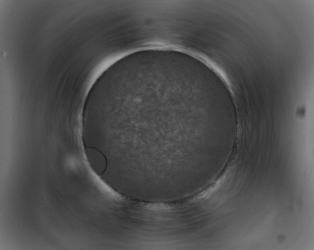 X0000101441239200807141258