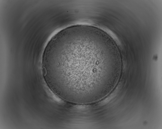 X0000101441240200807141258