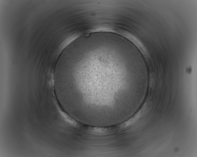 X0000101441241200807141258