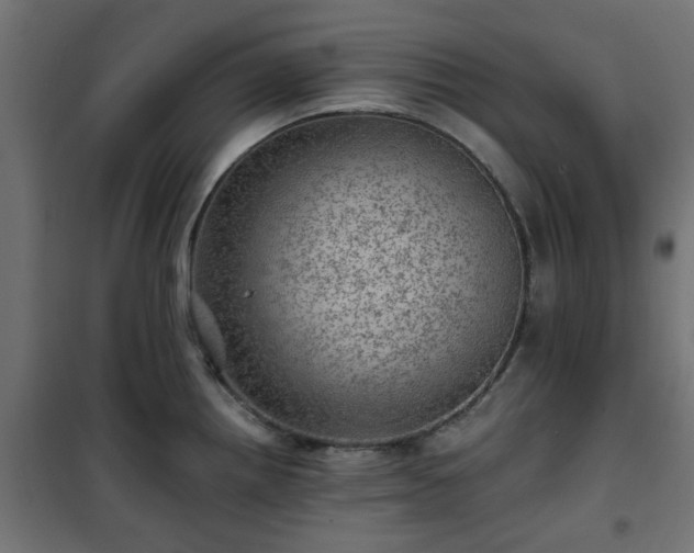 X0000101441242200807141258