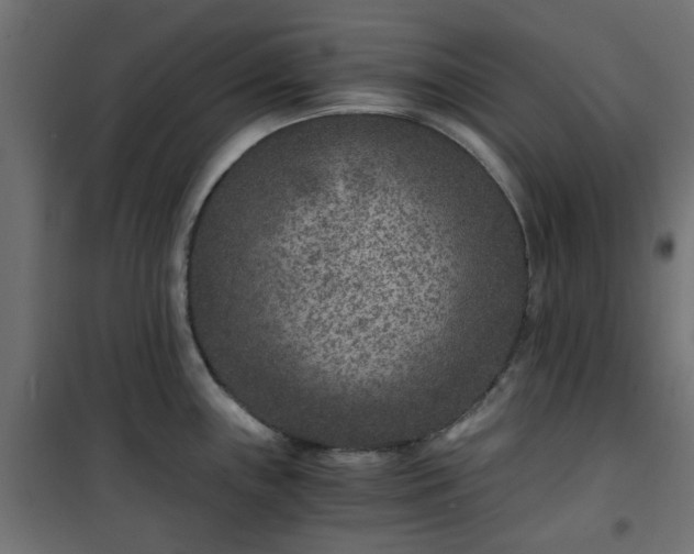 X0000101441243200807141258