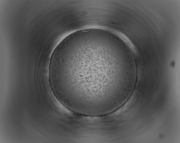 X0000101441244200807141258