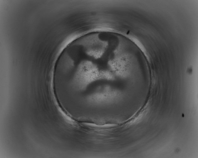 X0000101441245200807141258