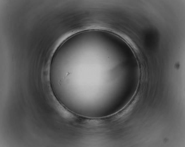 X0000101441246200807141258