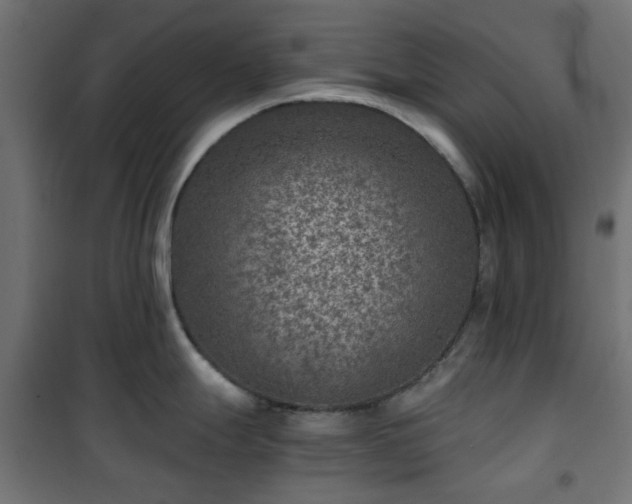 X0000101441247200807141258