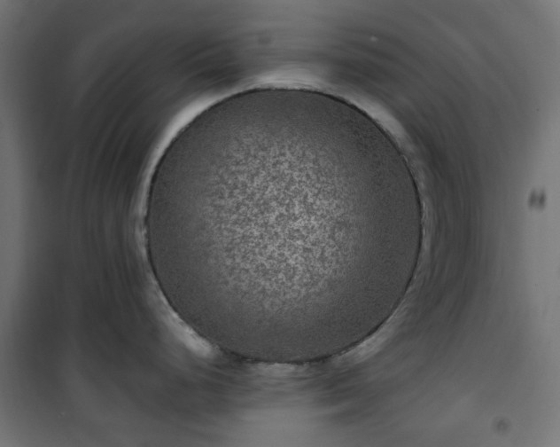 X0000101441248200807141258