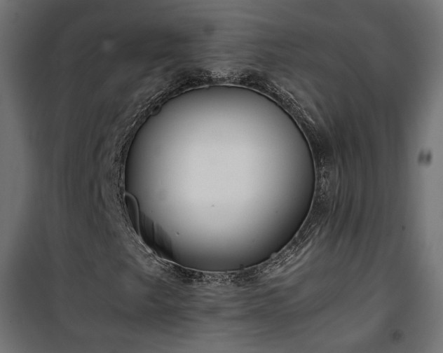 X0000101441249200807141258