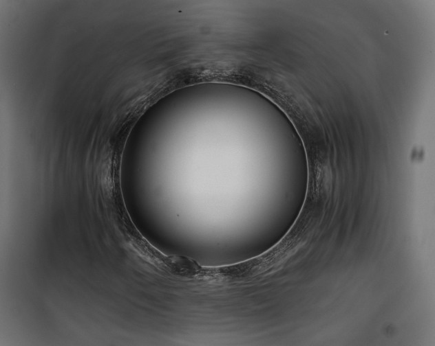 X0000101441250200807141258