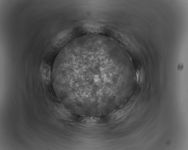 X0000101441251200807141257