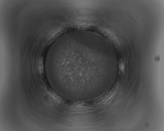 X0000101441252200807141257