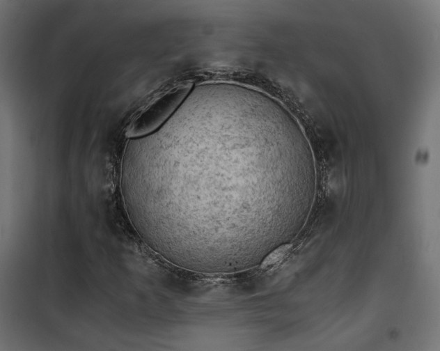 X0000101441253200807141257