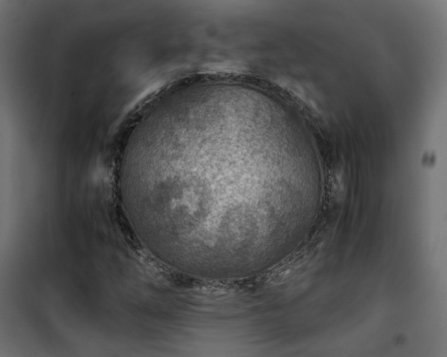 X0000101441254200807141257