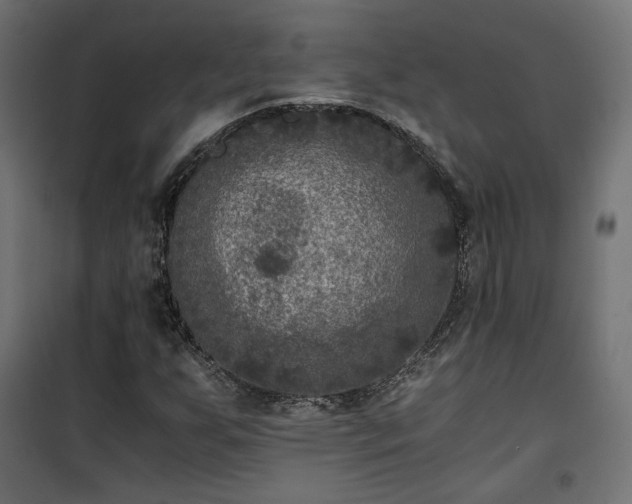 X0000101441255200807141257