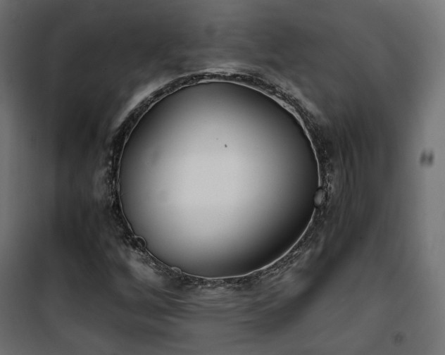 X0000101441256200807141257