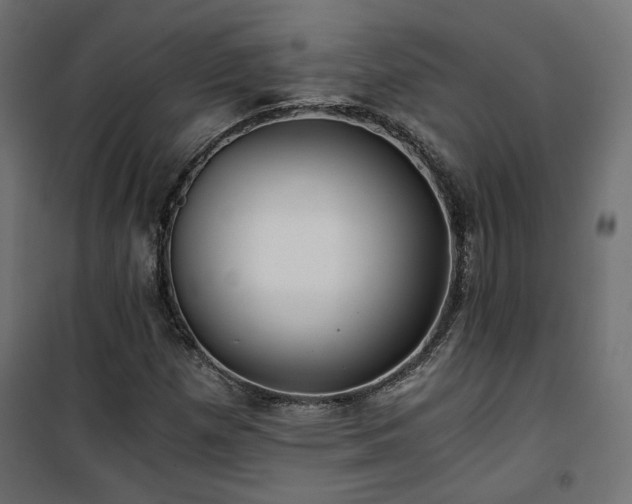 X0000101441257200807141257