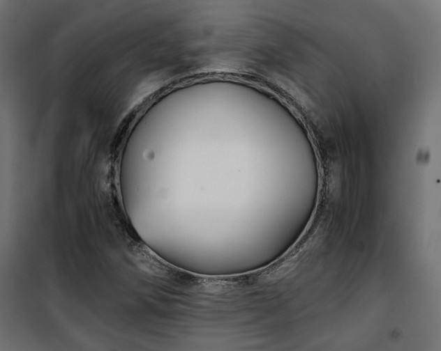 X0000101441258200807141257